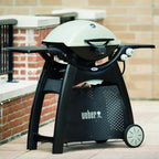 Weber Q 3200 Propane Gas Grill - Titanium - 57060001