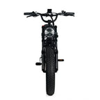 Electric Mountain Bike for Adults | 20 x 4.0 Fat Tires, 1000W Motor, 48V 20Ah Removable Battery, Max Speed 45MPH, Shi Mano 7-Speed for Off-Road Adventures